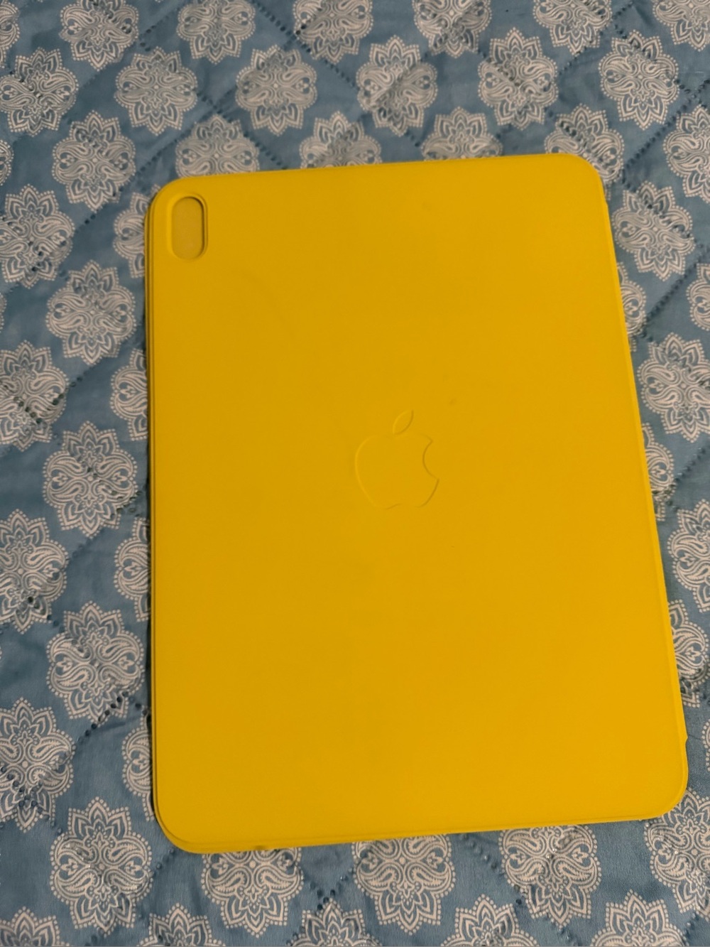 Apple - Smart Folio for iPad
(A16) - Lemonade